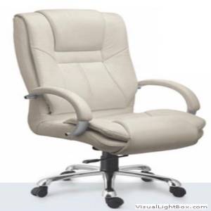 Director & Chairman Chair Manufacturers in Yavatmal