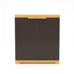 Mini FMS Plastic Cabinet Manufacturers in Bihar